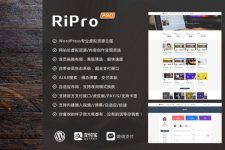 WordPress主题 RiPro6.3.8免费分享[修复版]